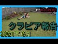 2021年 6月のクラピア報告♪～白い花をガンガン刈り込む～　【庭 #10】
