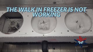 THE WALK IN FREEZER HAS A LITTLE ICE ON IT.....