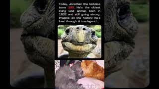 Today, Jonathan the tortoise turns 192. He's the oldest living land animal, born in 1832