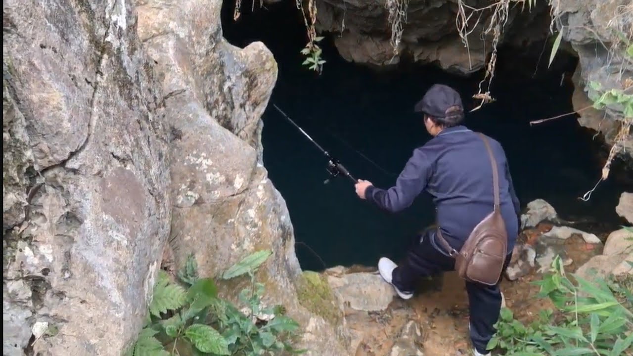 Câu cá dầm xanh ở hang đầu nguồn suối