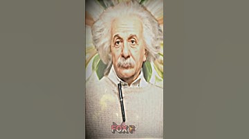 Mr. Bean VS Albert Einstein