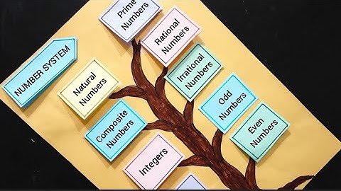 Number System Maths Project | Number System Maths Chart | Number System Maths TLM #numbersystem