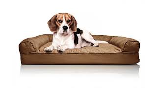 Springer Spaniel Beds - Seven Most Popular Product Ratings by heartmydogvideo 73 views 6 years ago 1 minute, 44 seconds