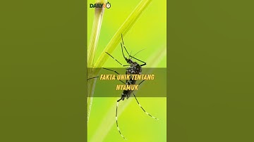 FAKTA UNIK TENTANG NYAMUK #fypシ #viral #faktaunik #video #vidioviral