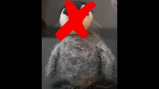 Bob The Penguin Can Be Defeated?