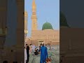 #haledilkiskosunayedjnaatstatus #madina #madinamunawwara #makkah #islamicshorts #islamicreels