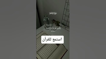 قران كريم بصوت جميل#اجمل_تلاوة_مهدئة_للاعصاب#راحة_نفسية#قران_كريم #القران