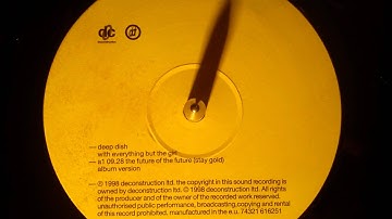 Deep Dish feat Everything But The Girl - The Future of the future ( Stay gold )