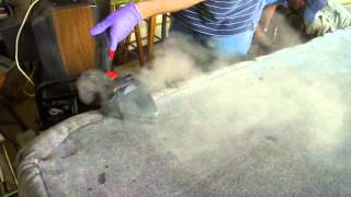 Remove Bed Bugs from a Sofa with Steam