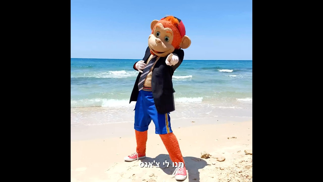 להיות קוף בפוליטיקה זו לא בושה