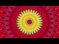 4K Flower Radial Kaleidoscope Tutorial (Slightly Under-Sampled Image Resized to Square) (2 Minutes)