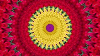 4K Flower Radial Kaleidoscope Tutorial (Slightly Under-Sampled Image Resized to Square) (2 Minutes)