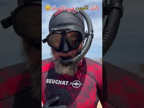 تجربة برية بحرية