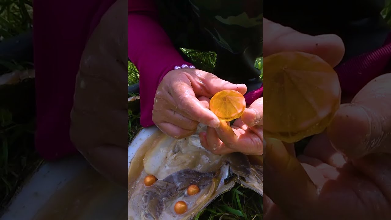  A Variant Of Clams Golden Contain Gemstones And Pearls