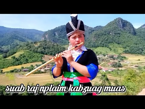 Video: Lub Tshuab Lom Zem