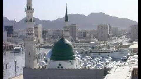 آيات من كتاب الله الكريم للقارئ / حسن نائب