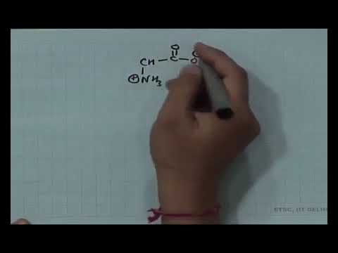 Chemistry Class 12 Unit 14 Chapter 07 Biomolecules L  7/12