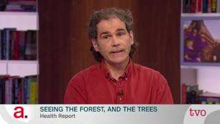 Seeing the Forest, and the Trees