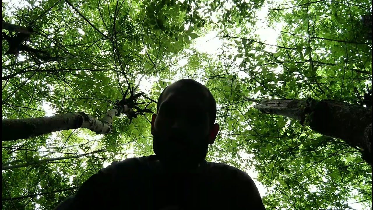 Asmr - Nel Bosco + Meditazione