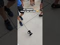 My Invisible Dog