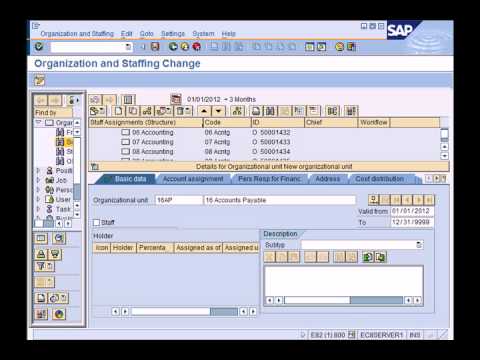 SAP HCM (HR) Overview