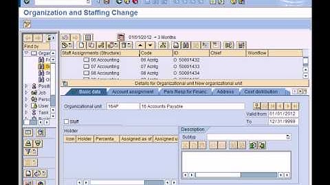 SAP HCM (HR) Overview