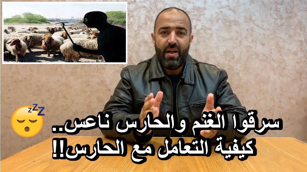 سرقوا الغنم والحارس ناعس.. وكيفية التعامل مع الحارس او العساس!!