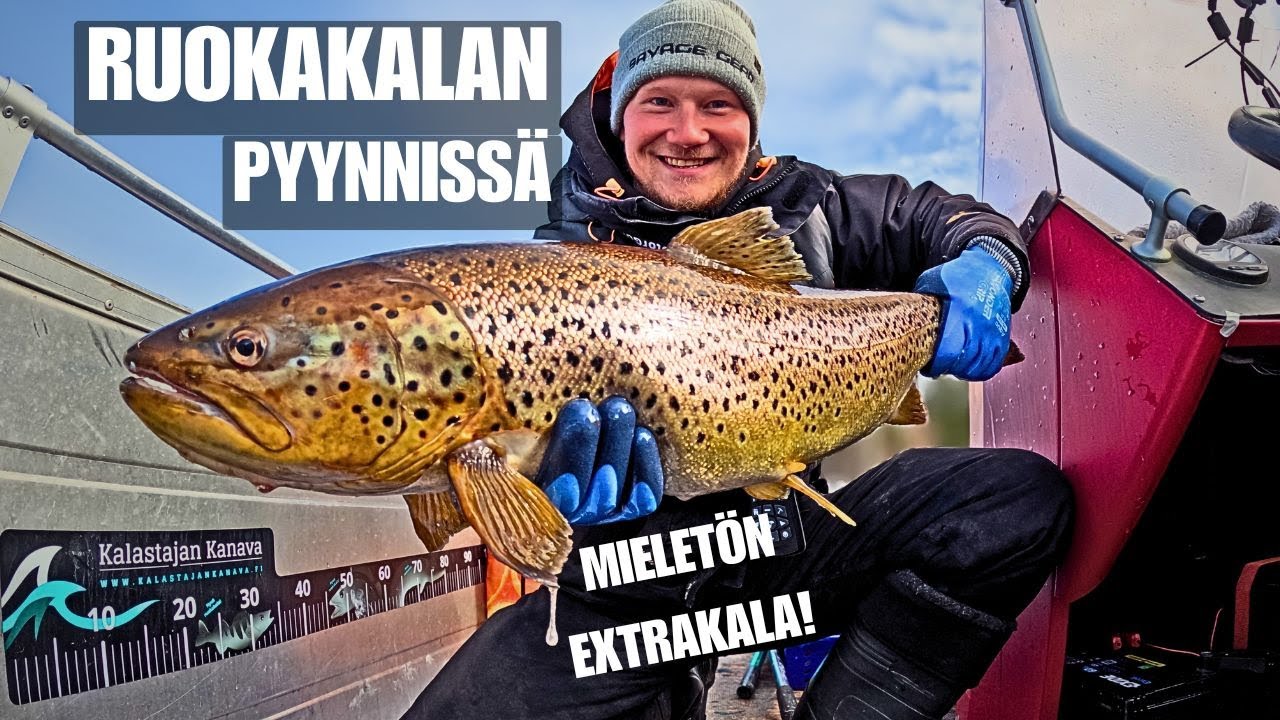 KUHAN JA AHVENEN KALASTUSTA | TAIMEN YLLÄTTI!