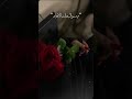 أعظم إنجازاتي - حنين #أعظم_إنجازاتي #حنين #أغاني_رومانسية #أغاني_حب #Shorts #Trending #Viral
