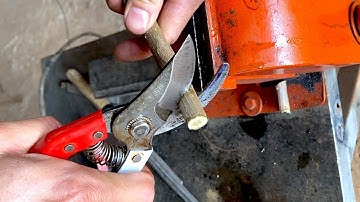 Cách mài kéo cắt cành nhanh nhất của thợ vườn p2