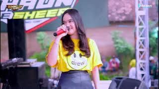 Download lagu FULL ALBUM - SHAUN THE SHEEP - HALAL BI HALAL TENGGER LADS CLUB - BANDUNGHARJO JEPARA | DHOEG AUDIO