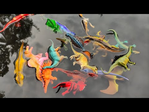 Video: Apa yang dimakan oleh kentrosaurus?