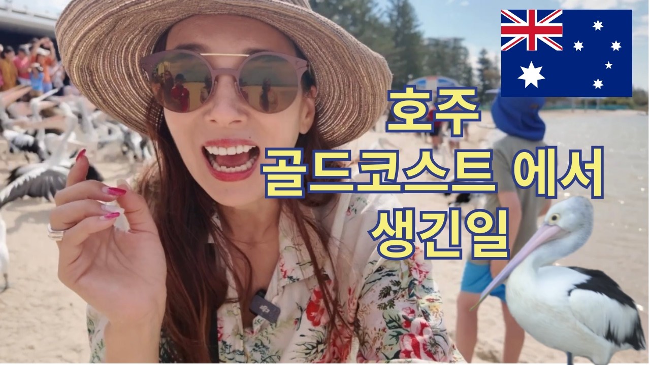 호주 골드코스트 1일 여행 VLOG! 서퍼즈 파라다이스 해변, 스카이포인트 Q1 전망대, 펠리칸 먹이주기!