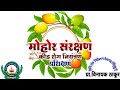 मोहोर, पालवी संरक्षण आणि फवारणी / Blossom protection and pestcides