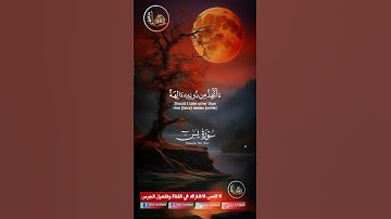 #تلاوة_صوت_جميل_عذب #القرآن_الكريم #اكسبلور #دار_القرآن #dar_alkoran #duet #دويتو #راحة_نفسية