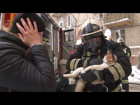 Видео: Пожарные спасают любопытного котенка от генератора
