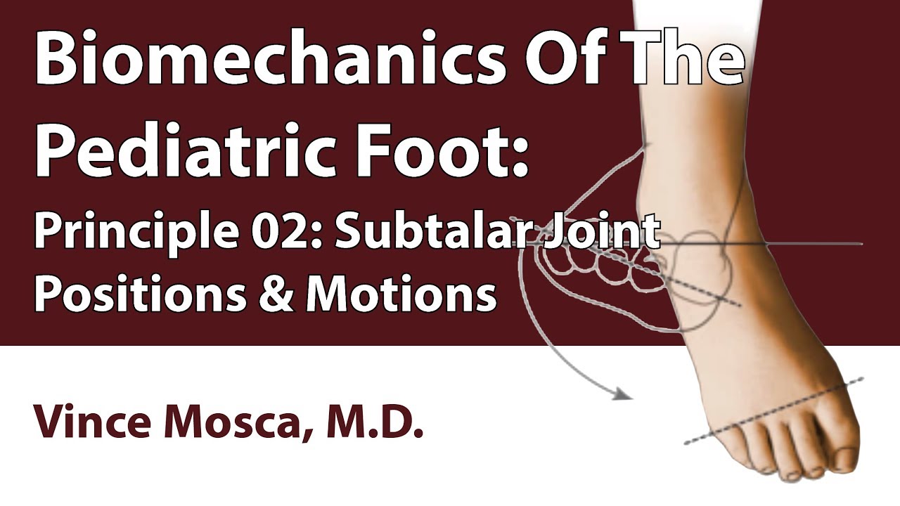 Biomechanics Of The Pediatric Foot Principle 02 [Subtalar Joint Positions & Motions] YouTube