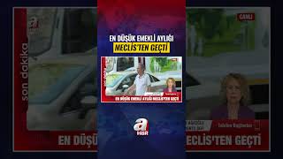 En düşük emekli aylığı düzenlemesi Meclis'ten geçti! Hesaplara ne zaman yatacak? | A Haber