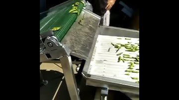 2018 New type fresh mung bean peeler/edamame shell removing machine/peas peeling machine