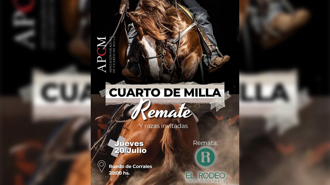 EXPO MRA 2023 | Remate Cuarto de Milla • El Rodeo - YouTube