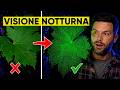 TRATTAMENTO VIGNETO PROFESSIONALE: guarda che differenza!