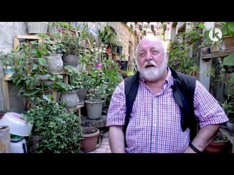 როდის დაუბრუნდებიან თელავის თეატრს მსახიობები