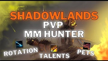 SL MM Hunter PvP WoW | Rotation, Talents, Pets, Addons, Targeting & Focus Keybinds World of Warcraft