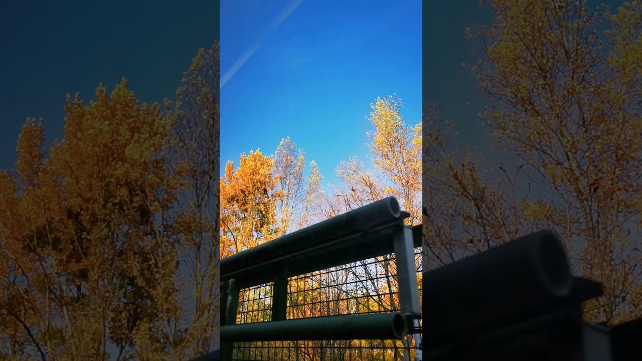 On A Sunny Day In Autumn | Vienna | Austria | 2021