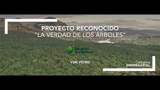 'Bosques Sostenibles', y su proyecto para recuperar el Valle de Iruelas