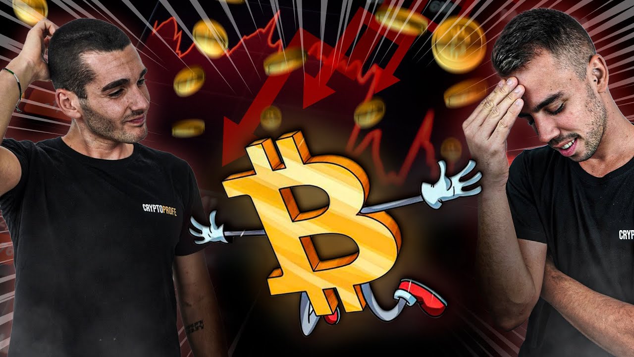 El AUGE y la CAÍDA de las criptomonedas (historia completa)