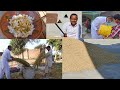 Farmers Busy Harvesting Crops | Life of Rice | How Rice is Made | Village Life | Mubashir Saddique