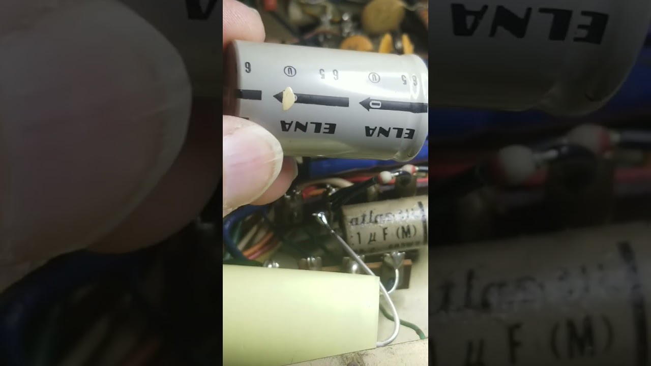 robynT-123B  first day recapped March 4,2025