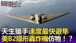 天生獵手世界速度最快遊隼 美國B2隱形轟炸機仿牠造型 -關鍵精華
