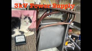 Me And The Shack Cat Are Going To Build a HV Power Supply